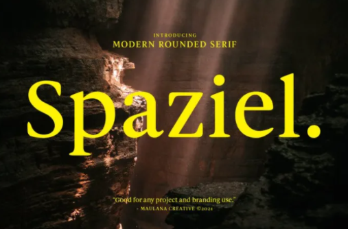 [Fontbundles] Spaziel Font (2021)_0.png